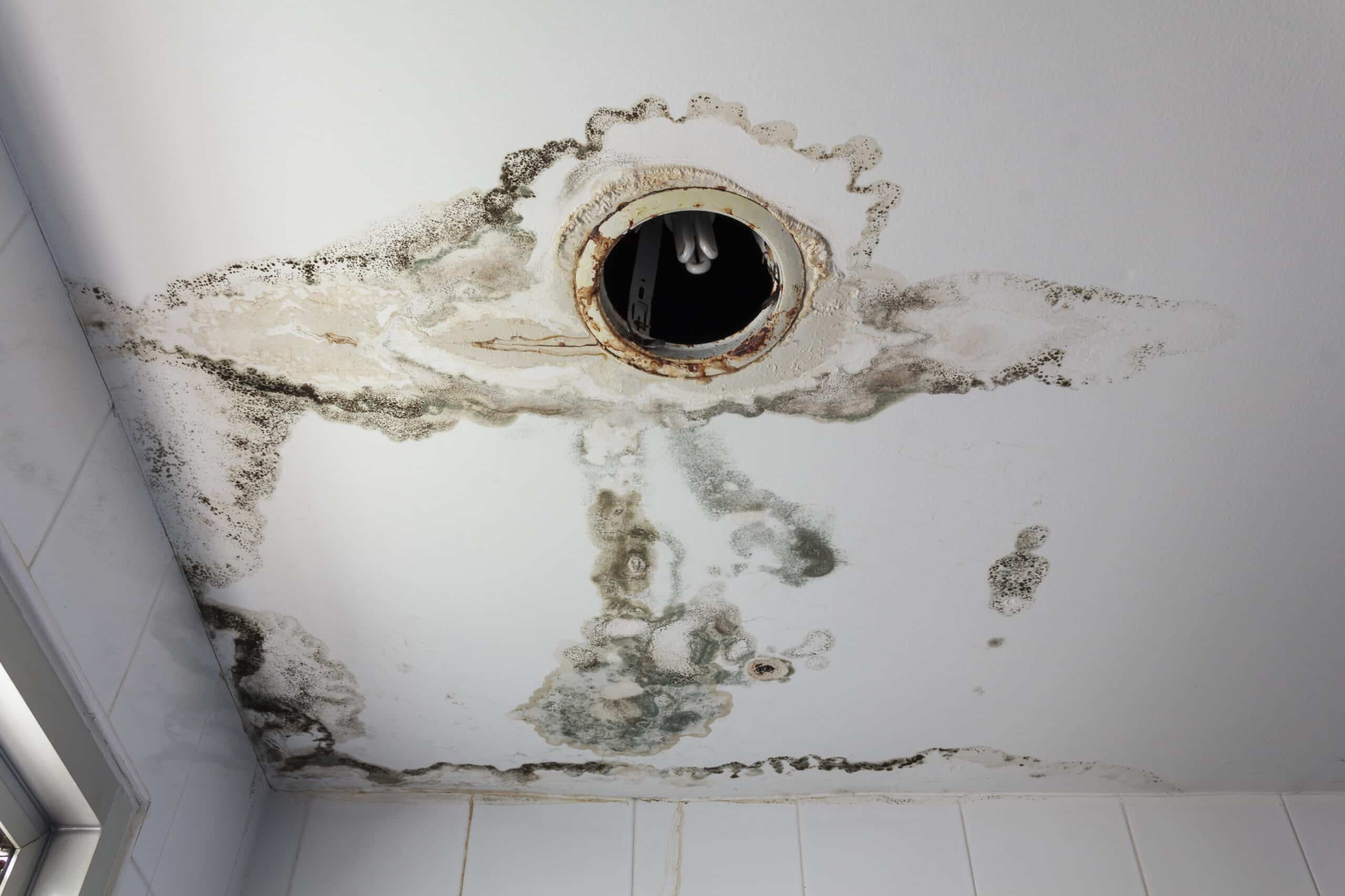 Water,Leaking,From,Ceiling,Make,Damaged,Lamp